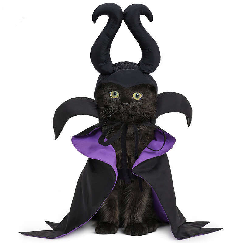 Halloween with Maleficent Female Cloak Cat Hat Pet Costume Supplies Dog Decoration