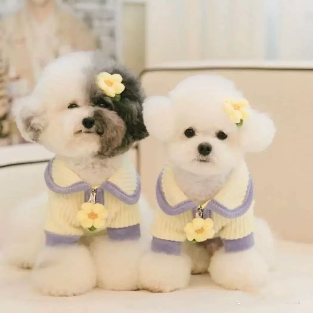 T1365 Dog Winter Clothes Four-legged Cute Pet Small Dog Teddy Thick Bichon Warm Spring and Autumn Internet Celebrity Cotton-padded ...
