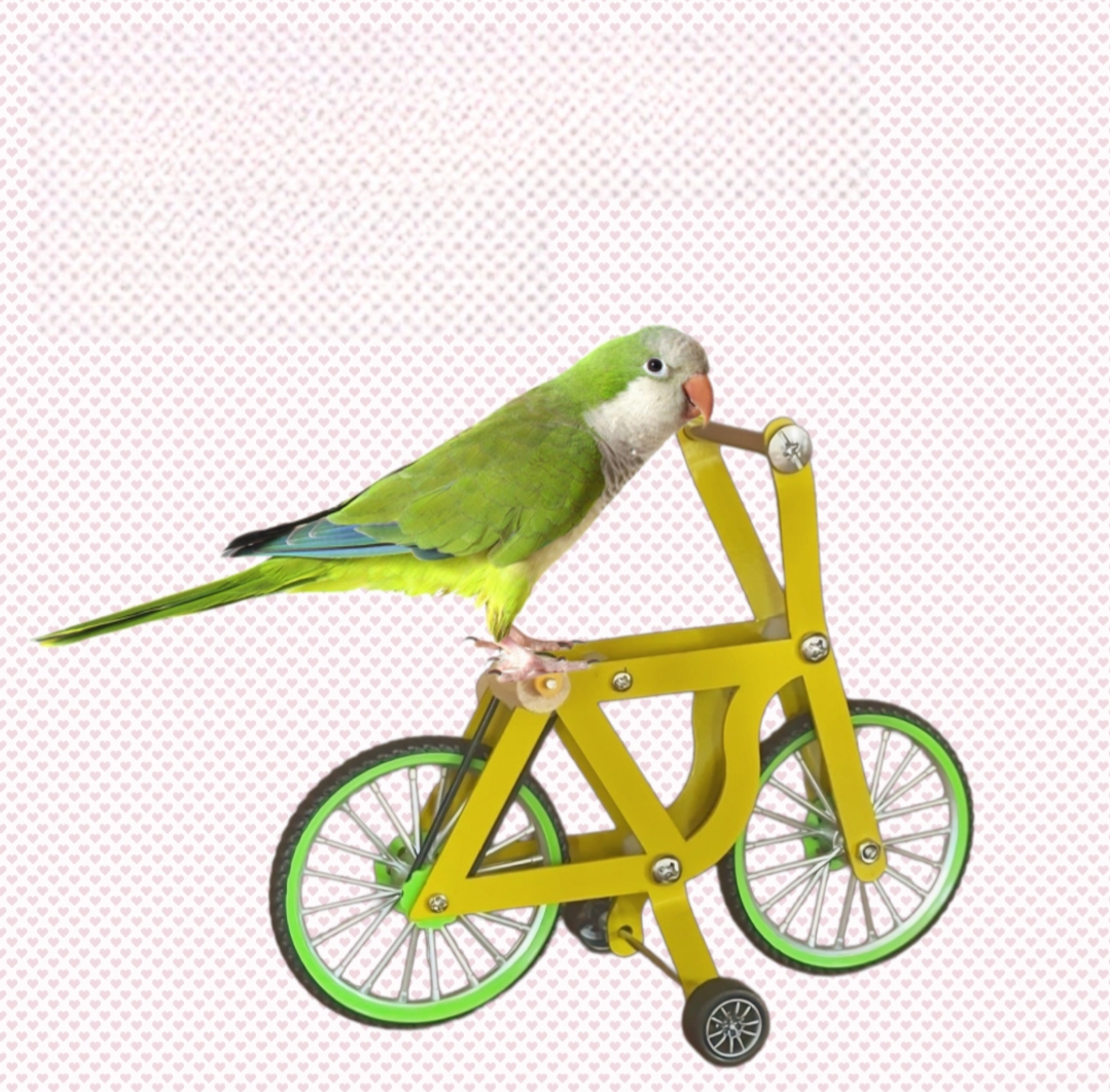 Developmental Toy Bundle For Tiny Friends Stimulating Games Created with Pocket Pets In Mind