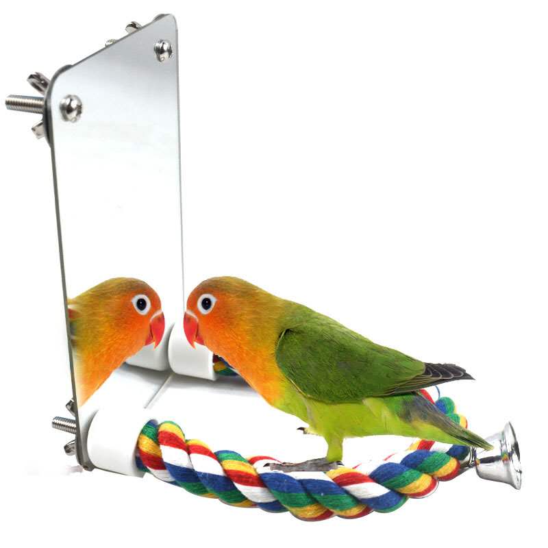 2025 new Gray Parrots Colorful Hanging Parrot Toy with Mirror Rope Perch Lovebirds for Greys