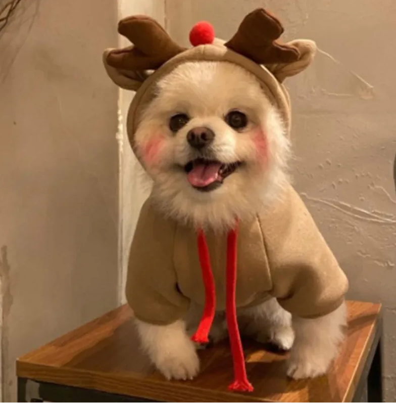 Warm Dog Sweater Christmas Elk Costume Drawstring Hooded Sweatshirt For Small & Medium Dogs