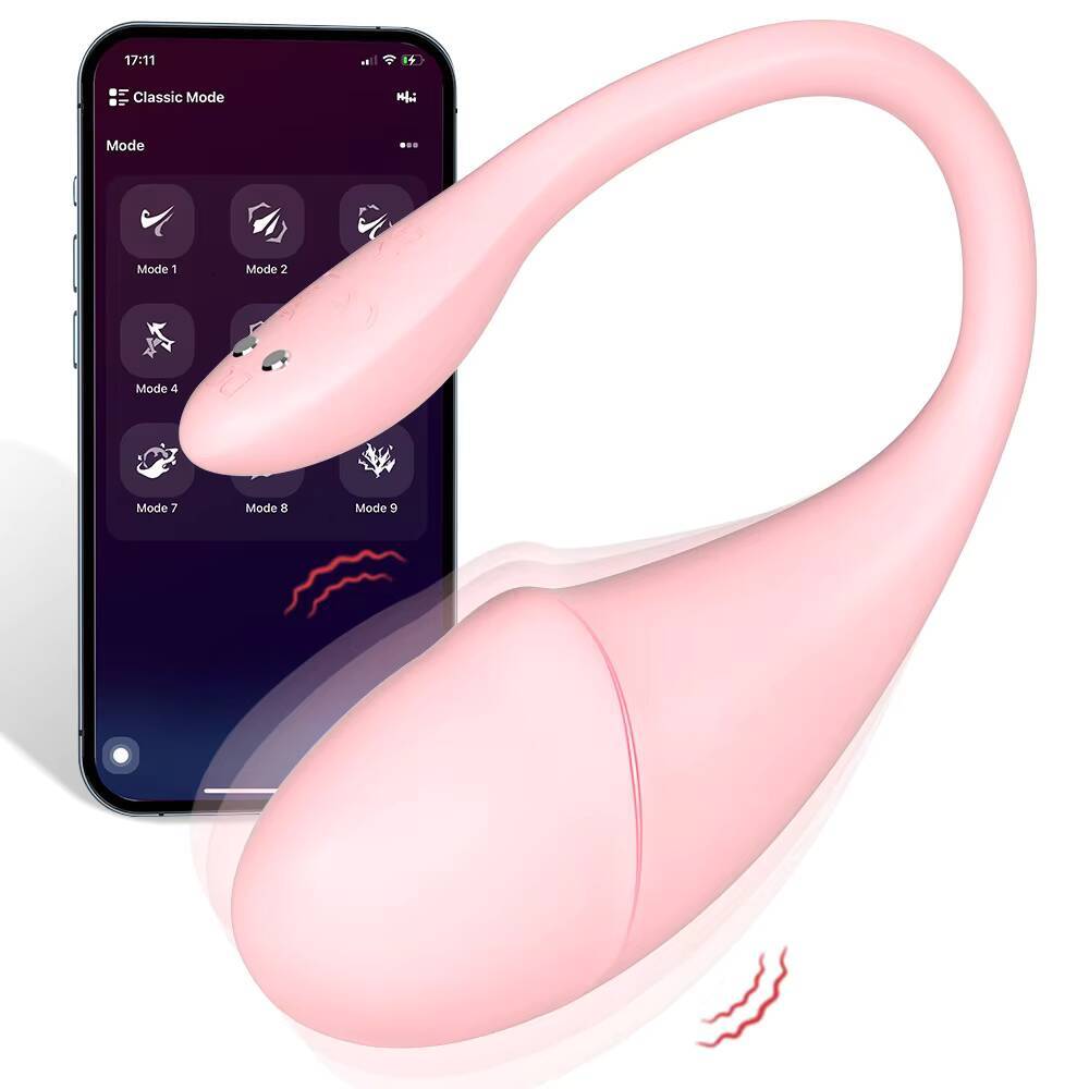Little Dolphin 9Frequency APP Remote Control Female Wearable Vibrator Adult Sex Toys Wholesale Body Massager Masturbators