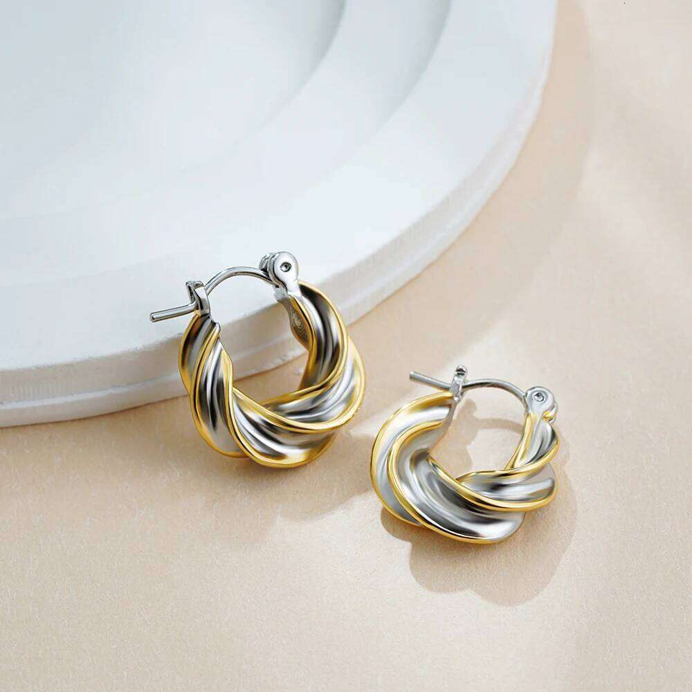 Vintage Gold&Sier Plated Twisted Hoop Earrings for Women Fashion Mixed Color Double Layer Small Hoops Ear Buckle Jewelry
