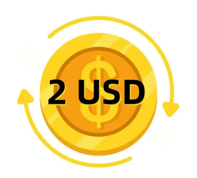 ZZ-WYJ VIP Exclusive Payment Portal Orders Balance Top-Up & Express Shipping