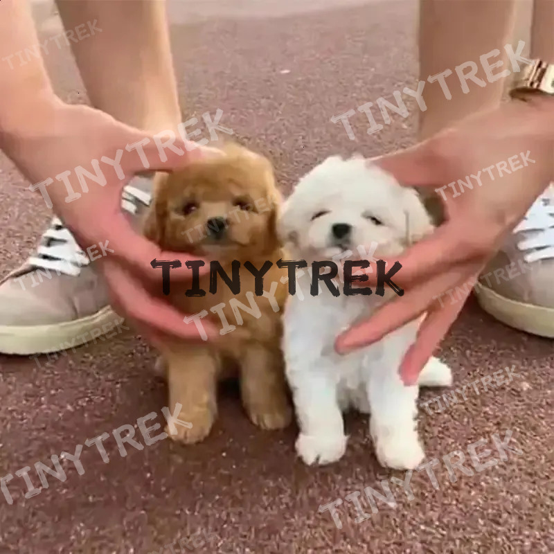 Kids Toys Robot Pet Plush Interactive Realistic Puppy Dog Toy Walking Barking Wagging Tail 250118