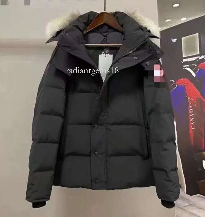 Canada Jacket Designer Jackets canadalys gooselys Jacket Winter canadalies gooselies Puffer Jacket Coat Warm goosse Coat Thicken Cotton canadalys goosecoats 0b4