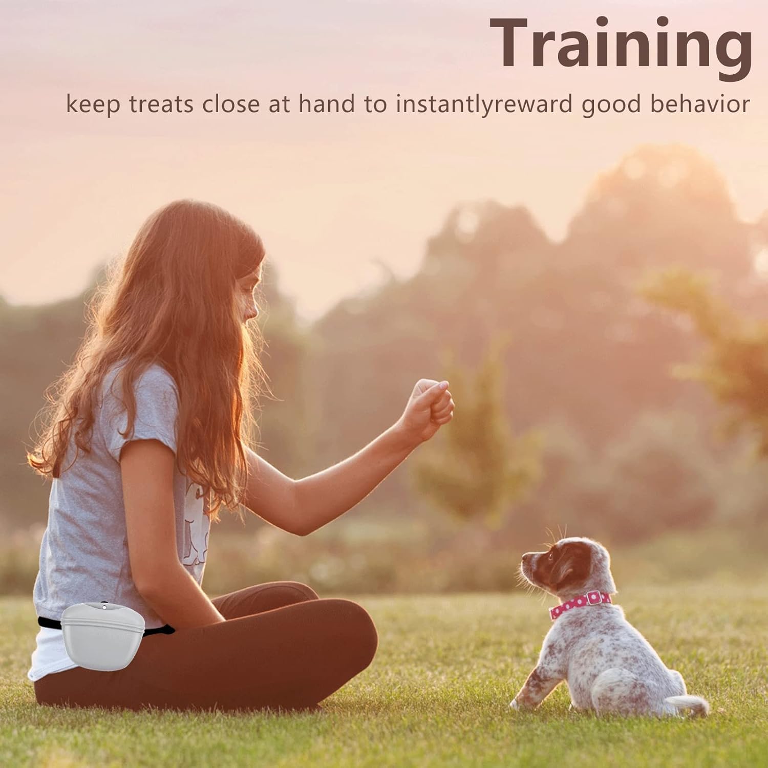 Dog Treat Pouch 2 Pack, Dog Treat Training Pouch, Silicone Pet Treat Bag