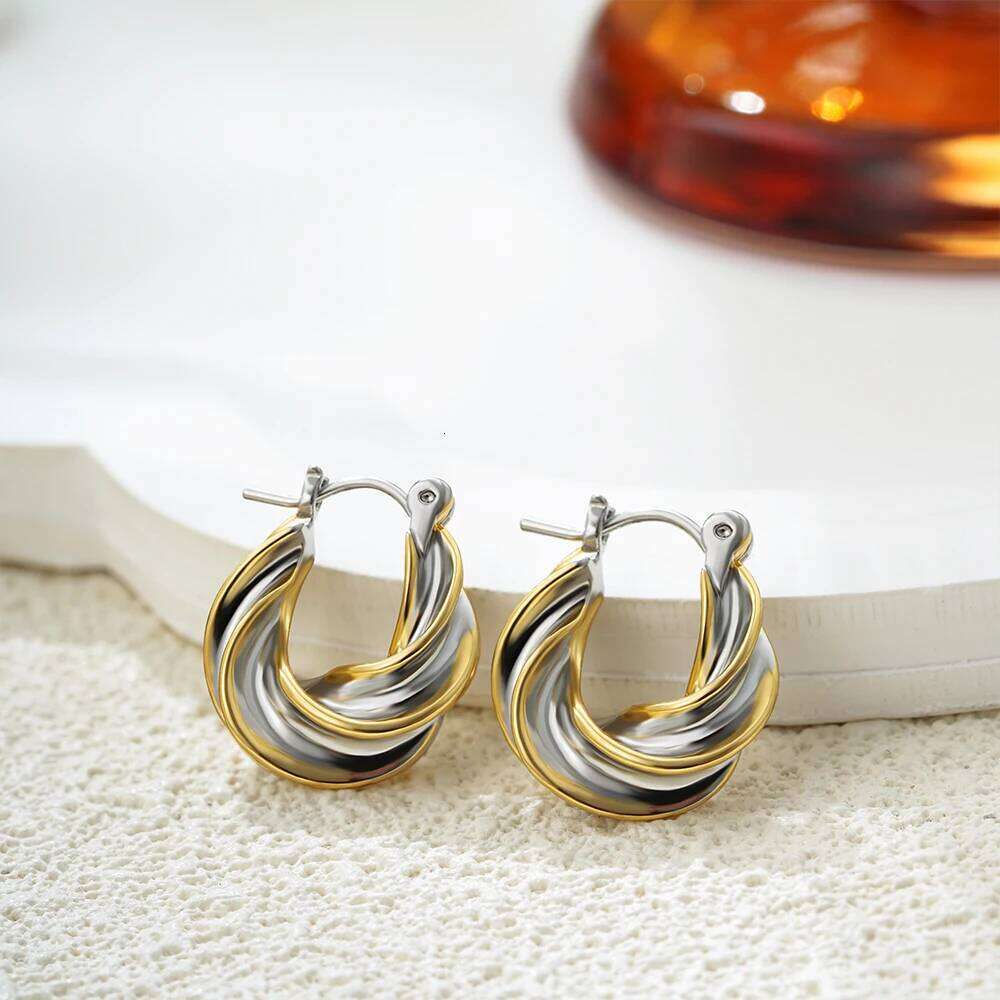 Vintage Gold&Sier Plated Twisted Hoop Earrings for Women Fashion Mixed Color Double Layer Small Hoops Ear Buckle Jewelry