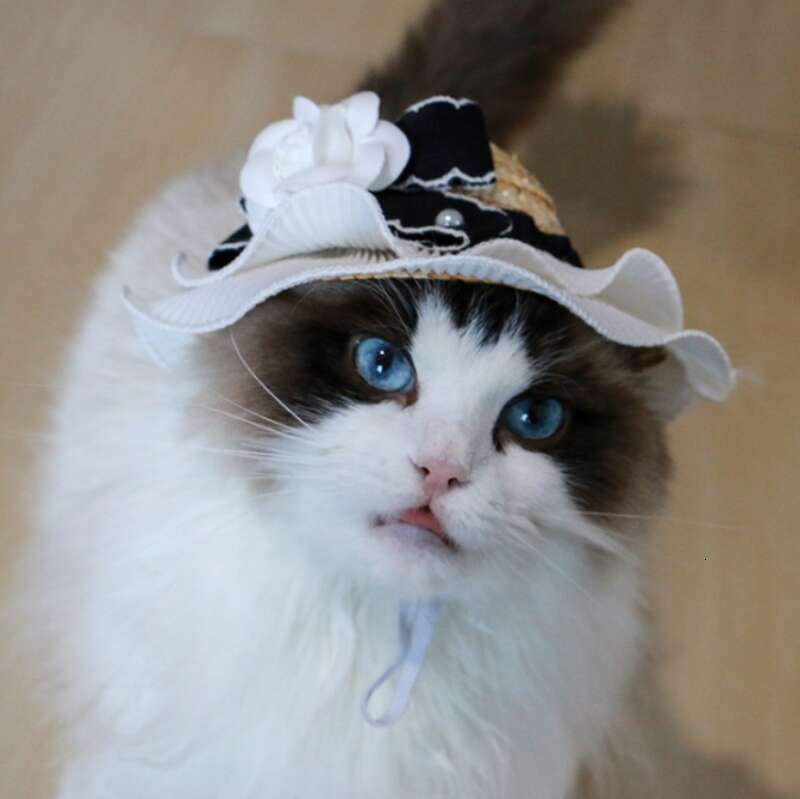 Pet Accessories Ins Style Camellia Decorative Adjustable Cat Sun Straw White Dog Bowknot Hat Beach