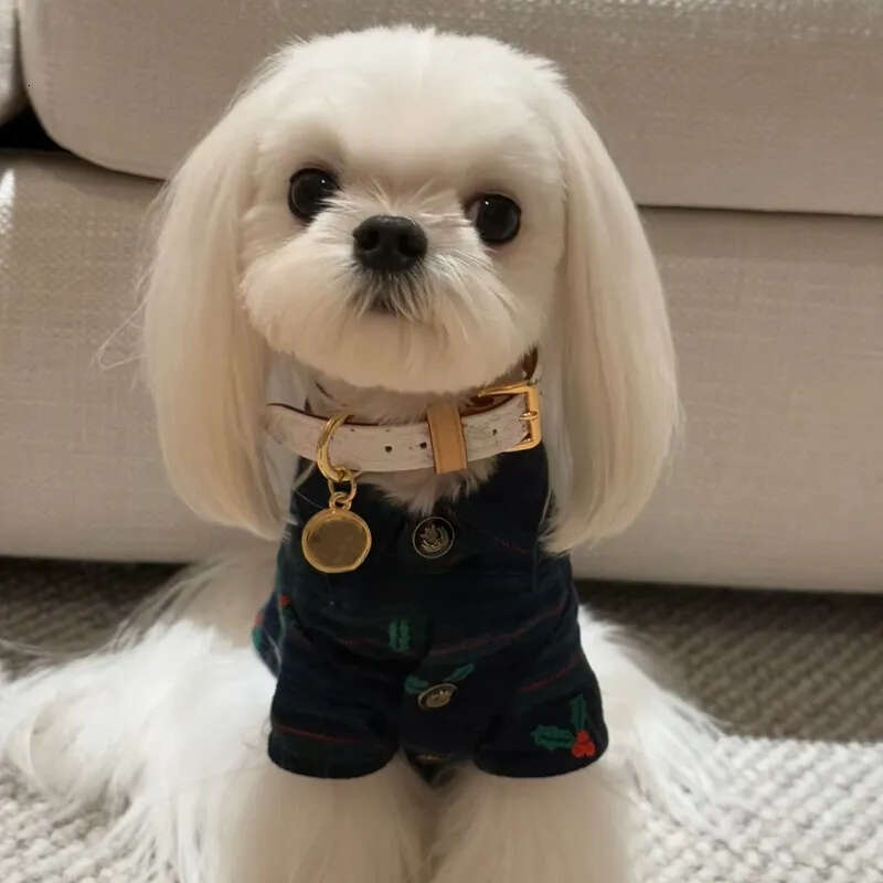 2025 new Designer Collars and Leash Classics White Multicolour Dog Collar with Metal Charm Double Layered Leather Leashes for Small Medium D