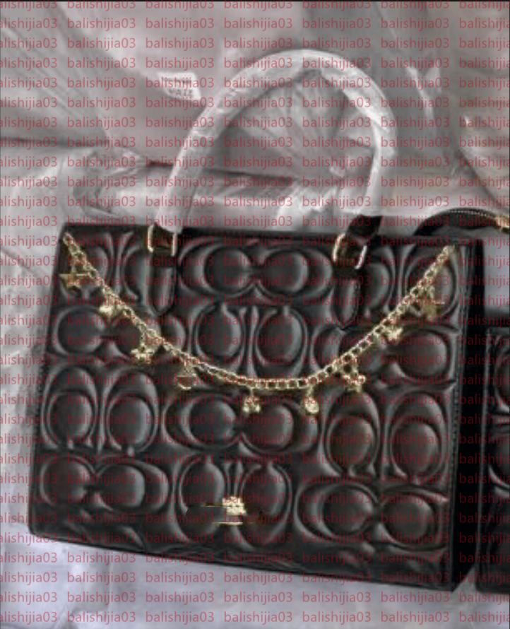 luxury designer bag designer crossbody bag women designer purse women chain bags shoulder bag for women luxury bag purse bag women fashion purse