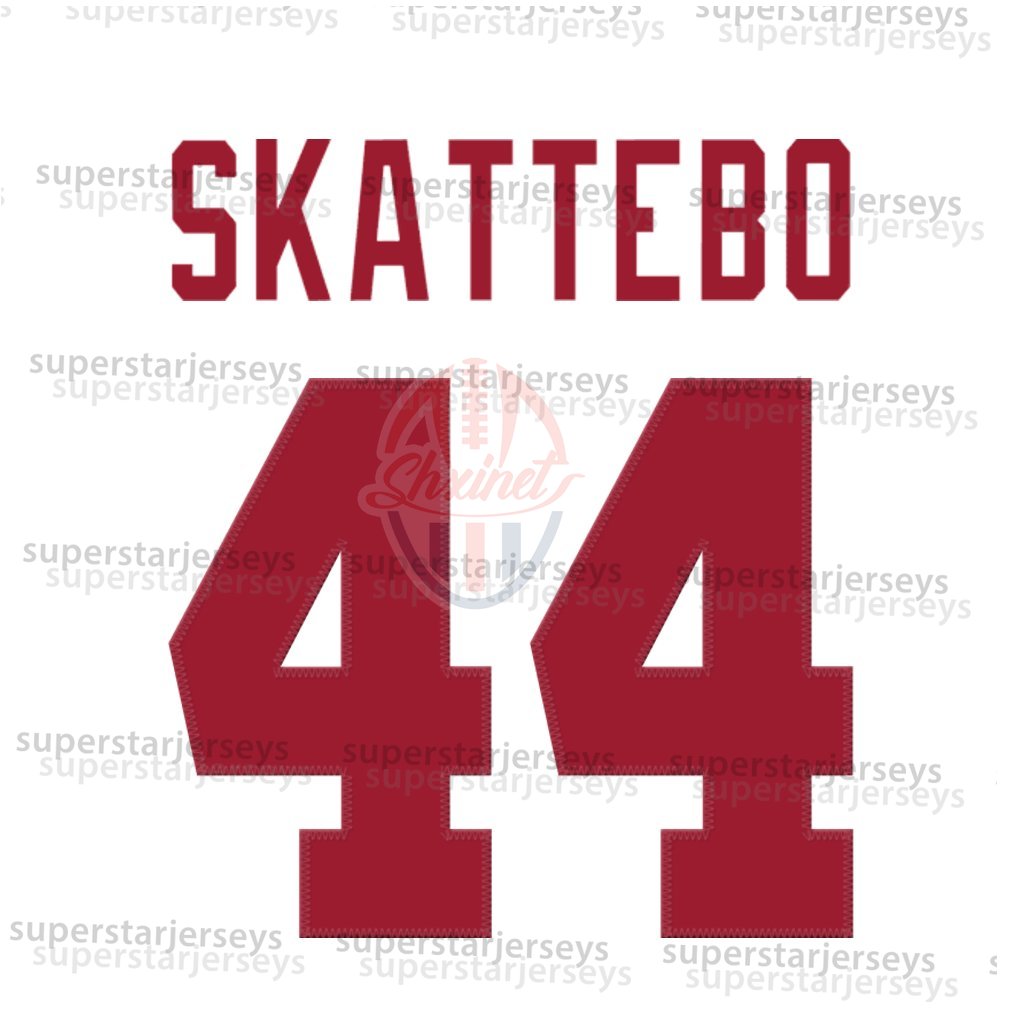 Nabers Football Jerseys 2025 Salute Olive Hyatt Dart Winston Skattebo Custom Football Jerseys Any Name Any Number Mens Womens Youth