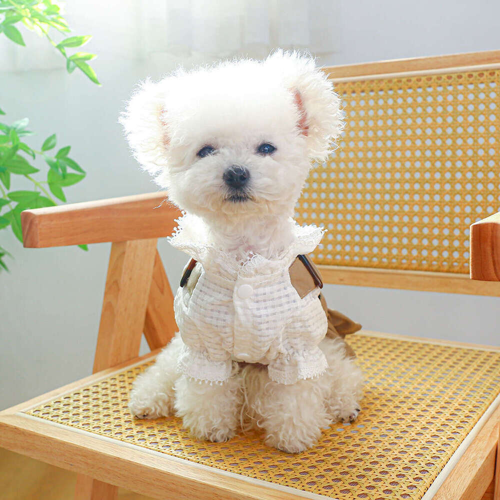 Spring And Autumn Pet Polyester Handsome Trench Coat Clothes Windproof Jacket Small Dog Clothing XS-XL