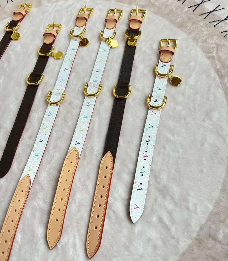 2025 new Designer Collars and Leash Classics White Multicolour Dog Collar with Metal Charm Double Layered Leather Leashes for Small Medium D