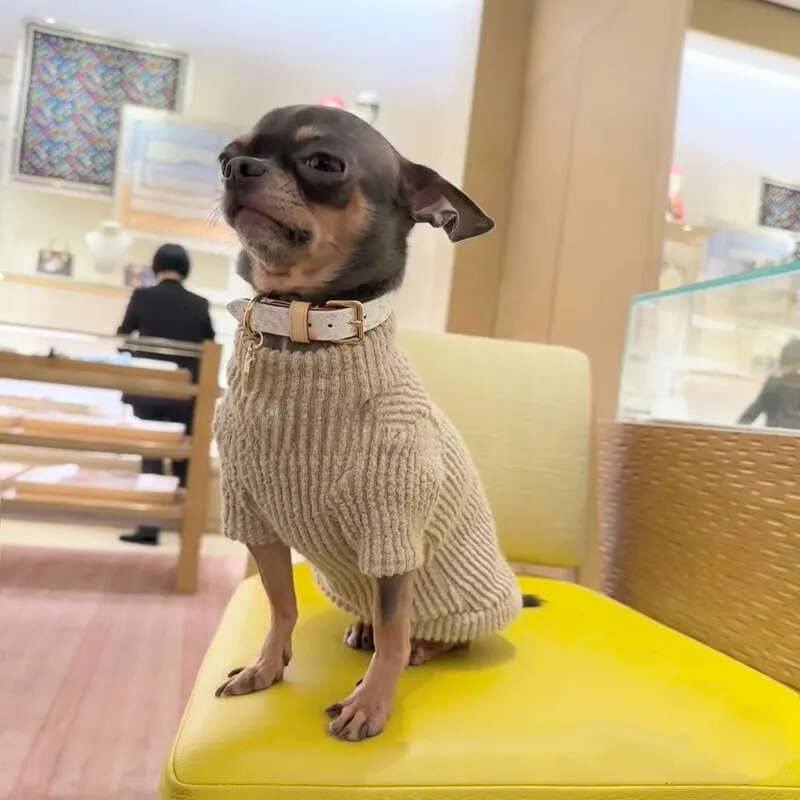 2025 new Designer Collars and Leash Classics White Multicolour Dog Collar with Metal Charm Double Layered Leather Leashes for Small Medium D