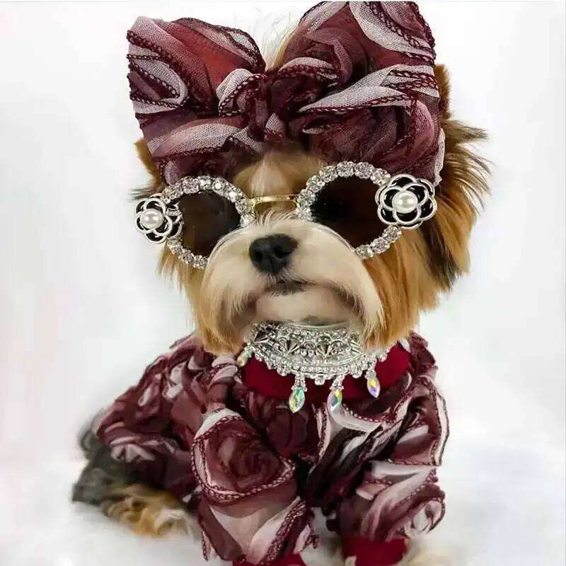 Coco Tweed Dog Sunglasses,Pet Sunglasses with Sparkling Rhinestones & Camellia Flower,Fit Tiny Puppy-Chic Outdoor Accessory
