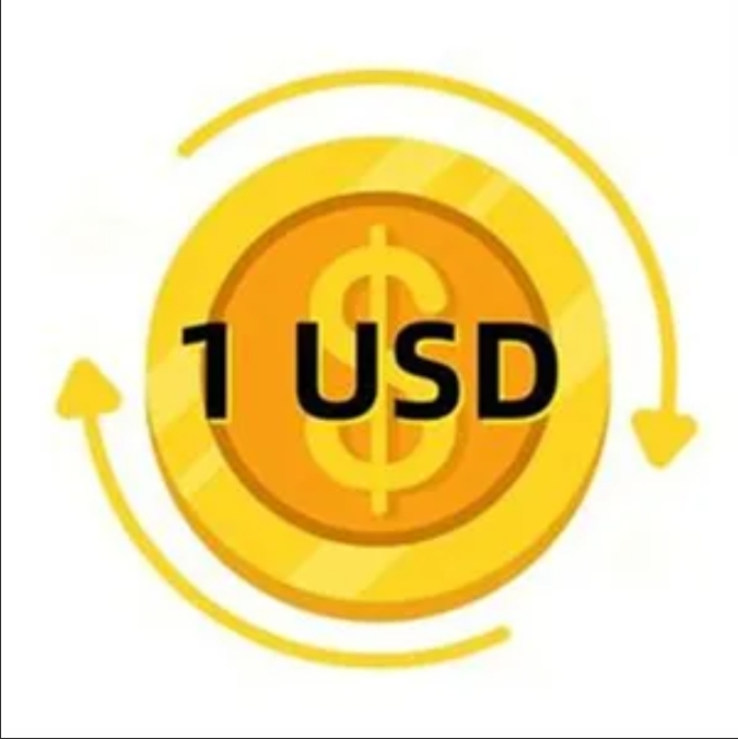 ZZ-XXY VIP Exclusive Payment Portal Orders Balance Top-Up & Express Shipping