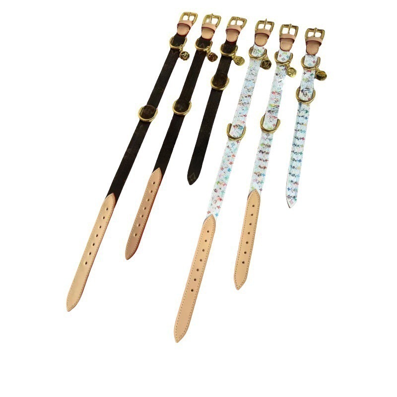 2025 new Designer Collars and Leash Classics White Multicolour Dog Collar with Metal Charm Double Layered Leather Leashes for Small Medium D