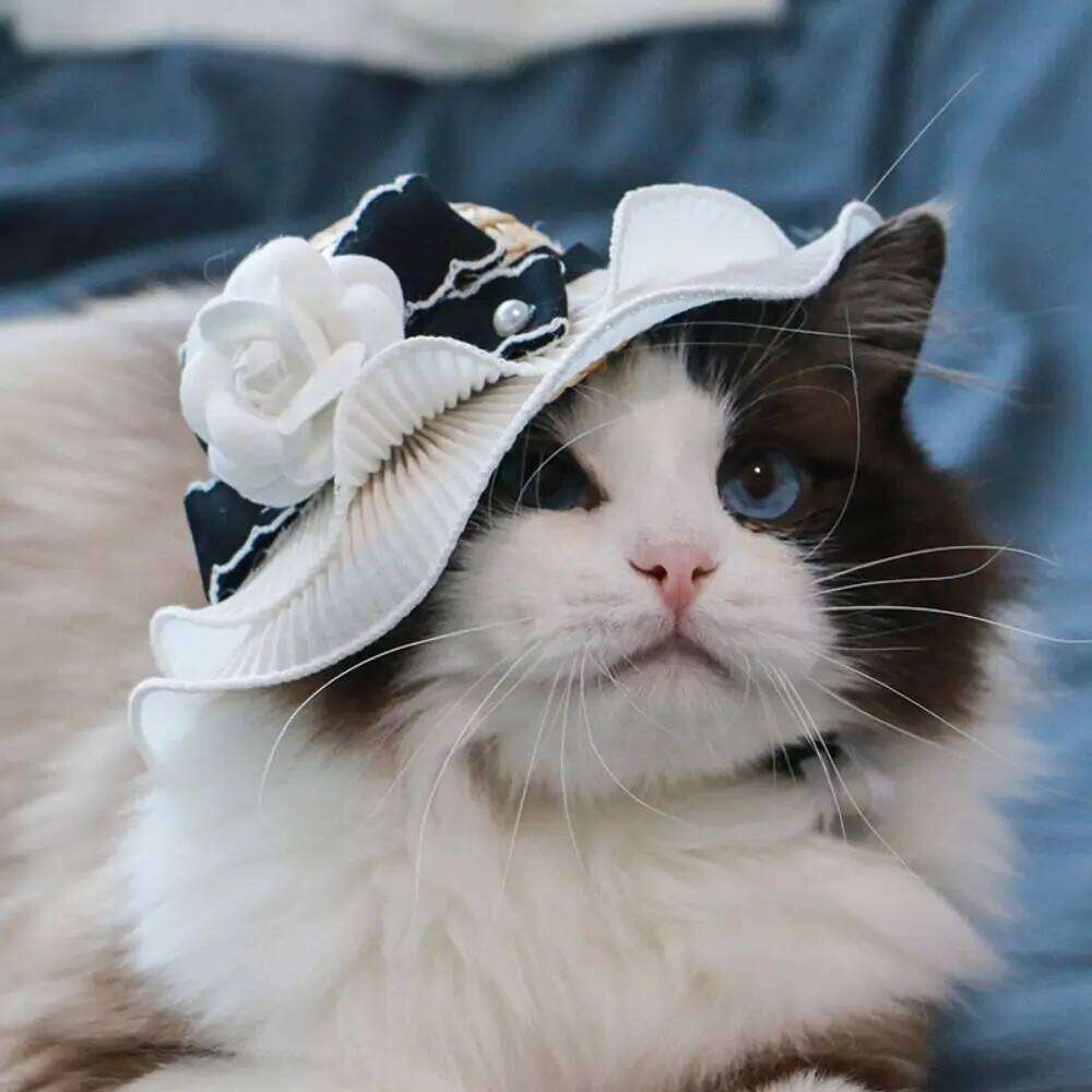Pet Accessories Ins Style Camellia Decorative Adjustable Cat Sun Straw White Dog Bowknot Hat Beach