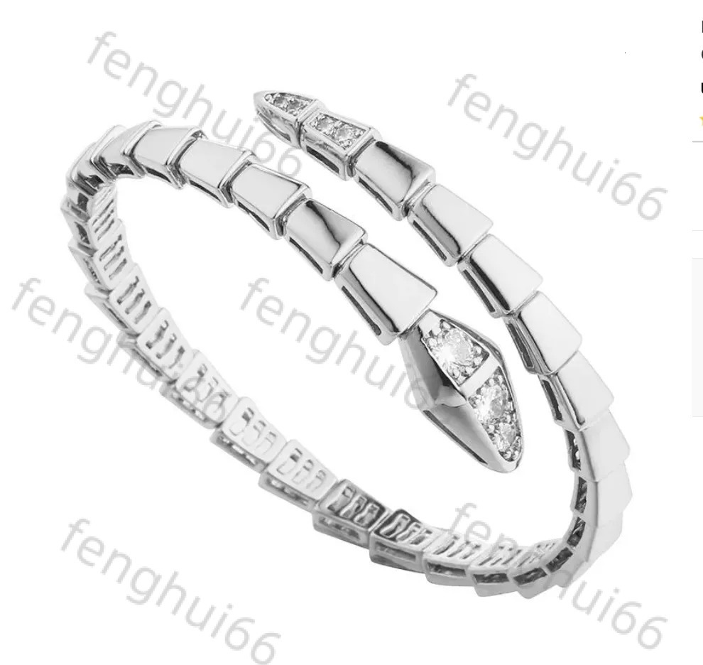 Bvlgri Designer Jewelry Narrow Single Circle Snake Designers Bracelet Gold Bracelets Bangle Party Birthday Gift High Quality Bfe