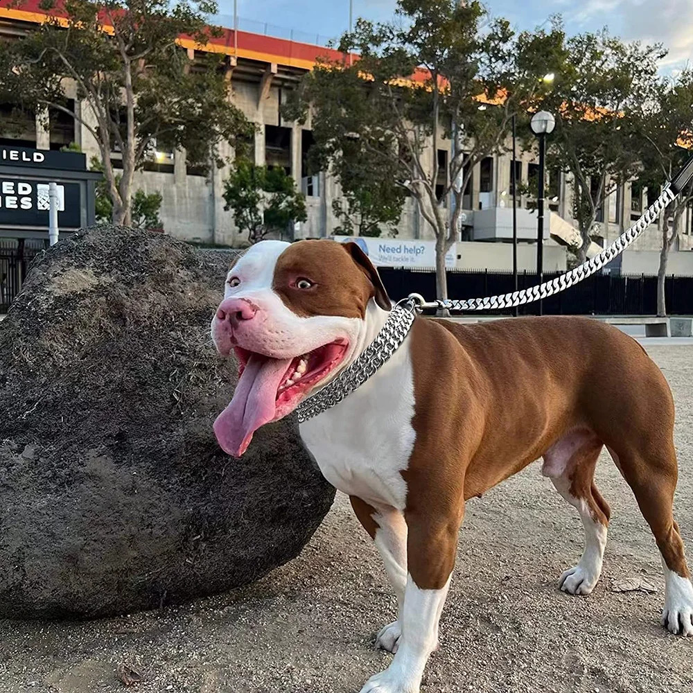 Stainless Steel Dog Choker Collar Martingale for Dogs Training Double Row Chain Heavy Duty Medium Large 241226