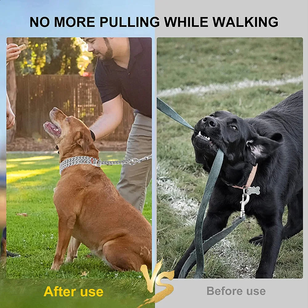 Stainless Steel Dog Choker Collar Martingale for Dogs Training Double Row Chain Heavy Duty Medium Large 241226