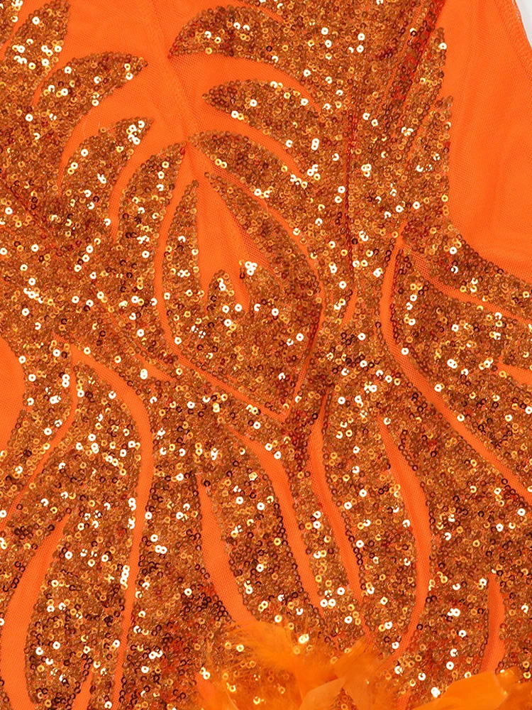 Beyprern Beautiful Mesh Sparkling Feather Glam Dress Womens Party Dress Sparkling Sleeveless Evening Dress Birthday Dress 241231