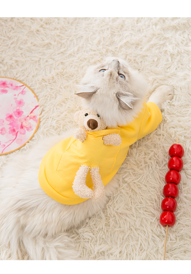 Autumn and Winter Thin Veet Cat Hoodie Kitten Warm Cartoon Two Leg Pet Dog Clothes