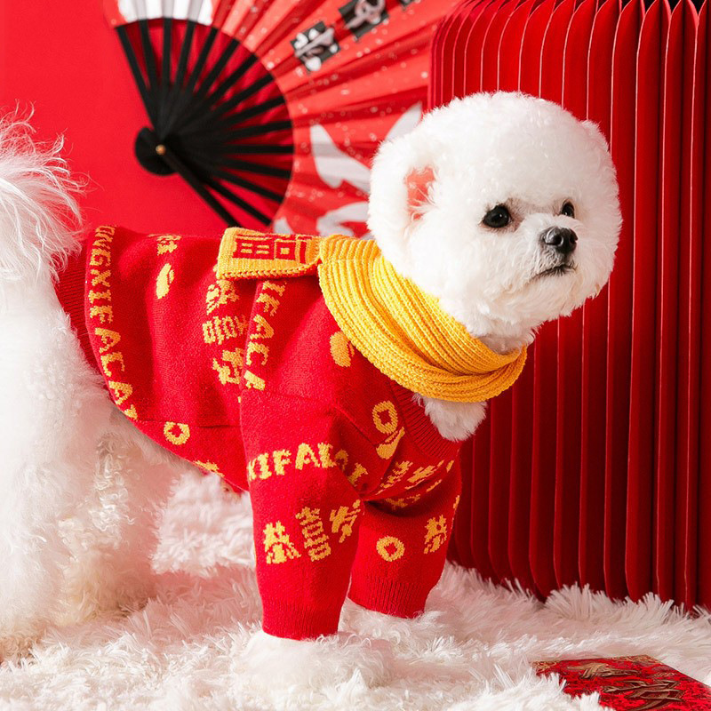 Dog clothes for autumn and winter pet small dog cat winter clothes with scarf HS48