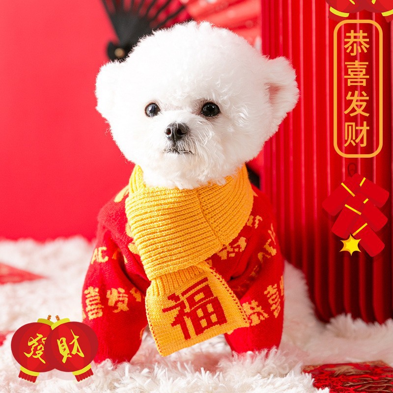 Dog clothes for autumn and winter pet small dog cat winter clothes with scarf HS48