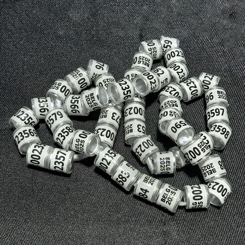 100PC Pigeon Leg Rings Metal Dove Leg Bands 2025 Year Bird Foot Rings Poultry Identification Rings Birds Lovebirds Chicken Quail