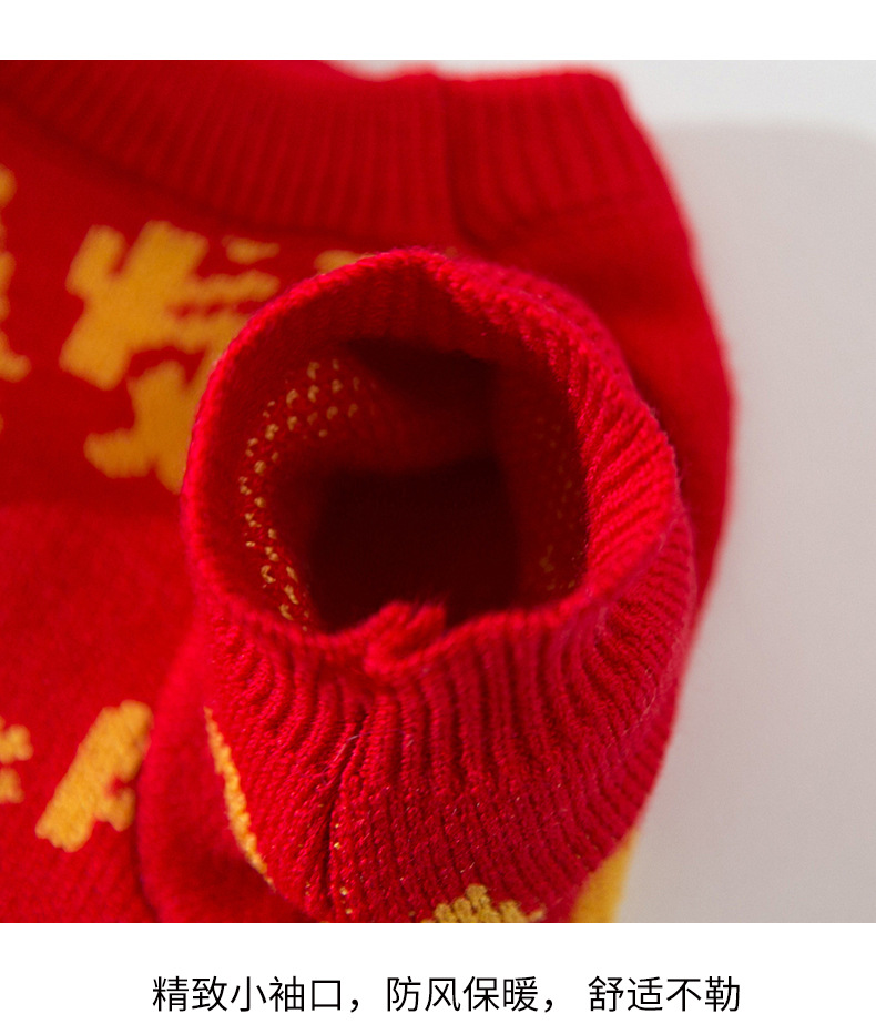Dog clothes for autumn and winter pet small dog cat winter clothes with scarf HS48