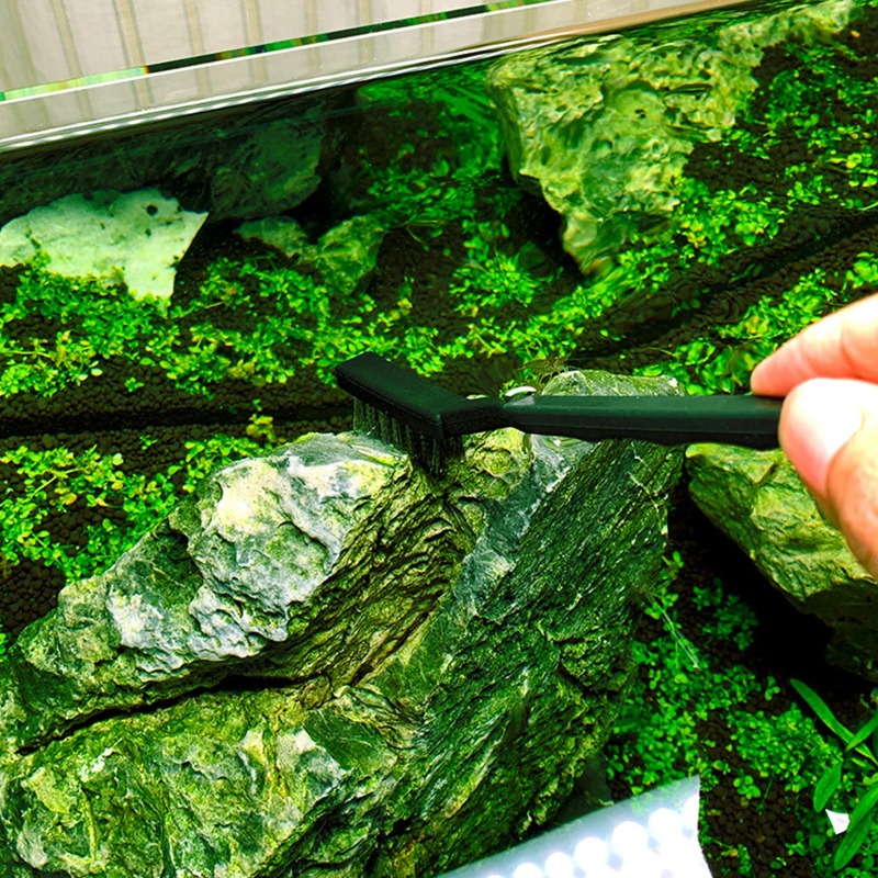 Steel Wire Brush Aquarium Algae Cleaning Brush Nylon Brush Aquarium Cleaner Fish Tank Stain Cleaning Tools Accessories