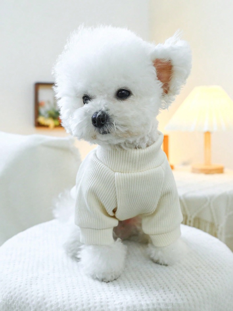 Pet Clothes Dog/Cat Apparel New Spring/Summer Outfit Pullover Two-Leg Shirt with Heart-Shaped Pattern Round Neck