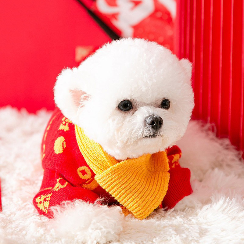 Dog clothes for autumn and winter pet small dog cat winter clothes with scarf HS48