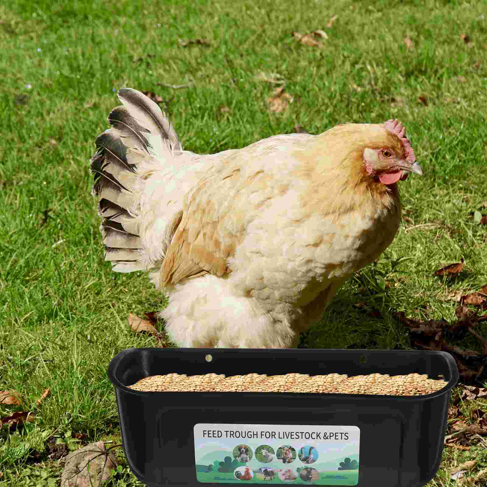 2 Pcs Chicken Feeder for Goats Birds Feeding Groove Trough Horse Bucket Pp Container