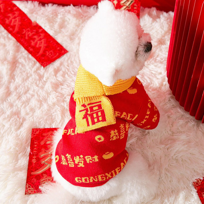 Dog clothes for autumn and winter pet small dog cat winter clothes with scarf HS48