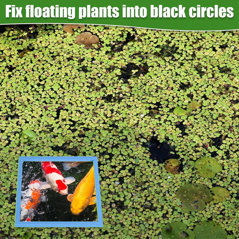Square Aquarium Floating Plant Corral 5 Sizes 10 Pcs Aquarium Floating Plant Rings Suitable For Flakes And Floating Fish Pellets
