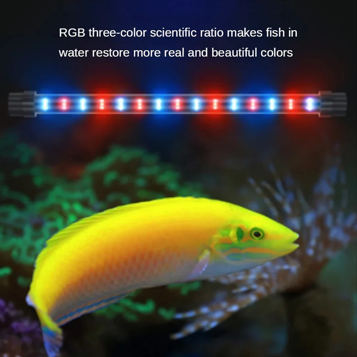 LED Fish Tank Light Aquarium Plant Light Red Blue LED for Arowana Ornamental Fishes Aquarium Lights Waterproof Fish Tank Lamp