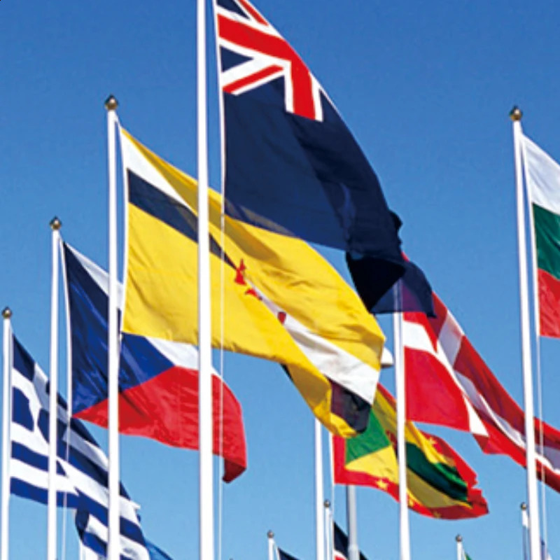 Custom Flags And Banner Flying Hanging Any Size Free n Advertising Polyester Customized Printed Decoration Promotion 241231
