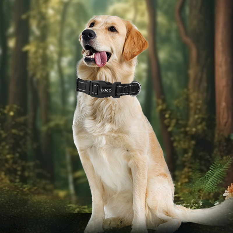 Factory Customazition Dog Collar Sublimation Print Strap Pet Collar Neoprene Anti-String Neck Pet Collar Small & Medium Dogs Multi Colour Nylon Reflec
