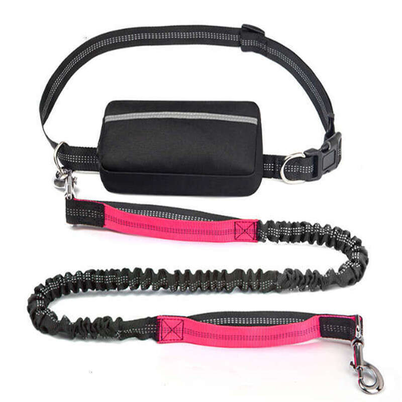 Hands Free Reflective Dog Leash with Zipper Pouch Dual Padded Handles and Durable Bungee Leash Walking Running Jogging for Small Medium and Large Dog