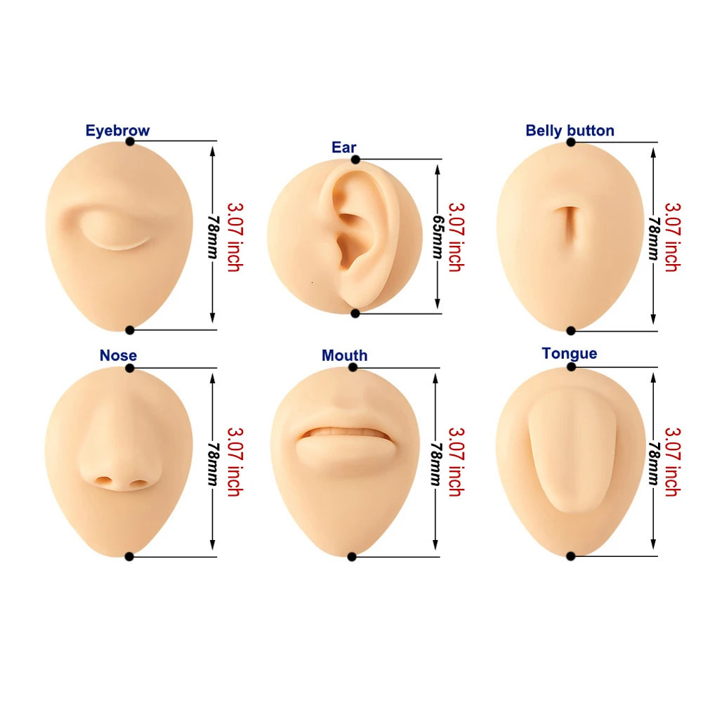 1pc Silicone Human Mouth Nose Ear Tongue Model Simulation Face Model with Display Stand Piercing Jewelry Display Teaching Tool 250103