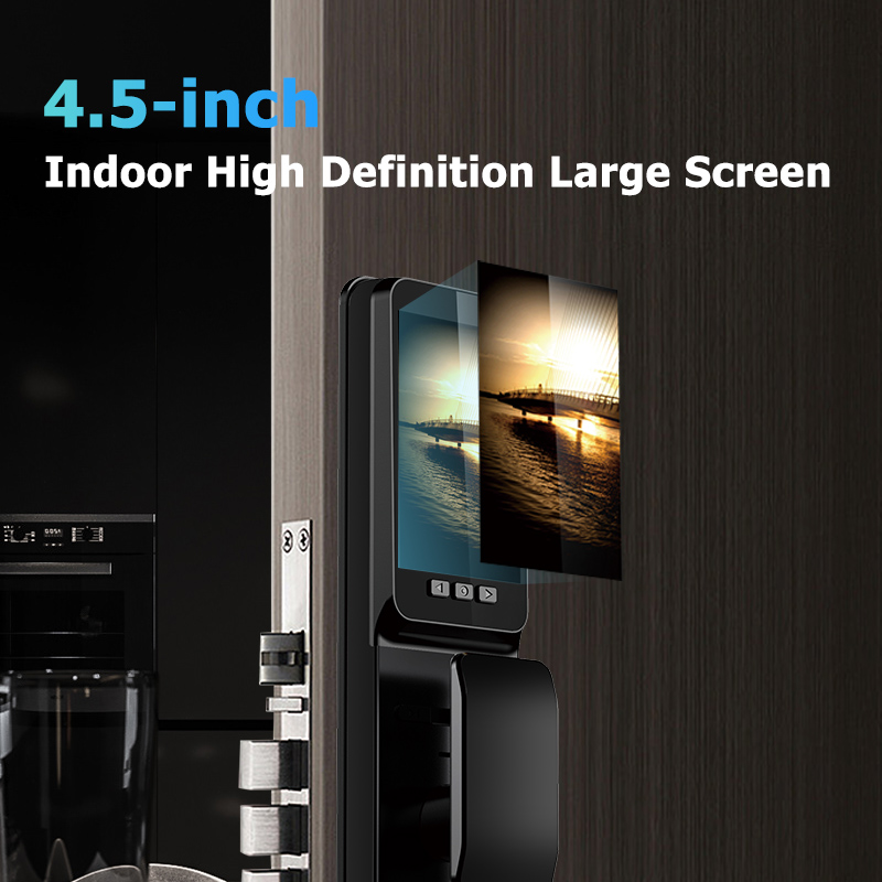 Smart Door Locks with Finger Vein Recognition for Enhanced Smart Home Security
