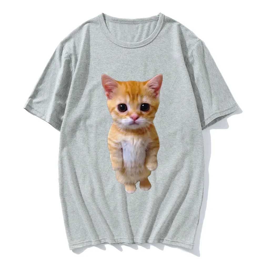 Men and Womens Funny Cat 3D Print Casual T-Shirt Summer Harajuku T Shirts Girl and Boy Fashion ClothesXJ240102