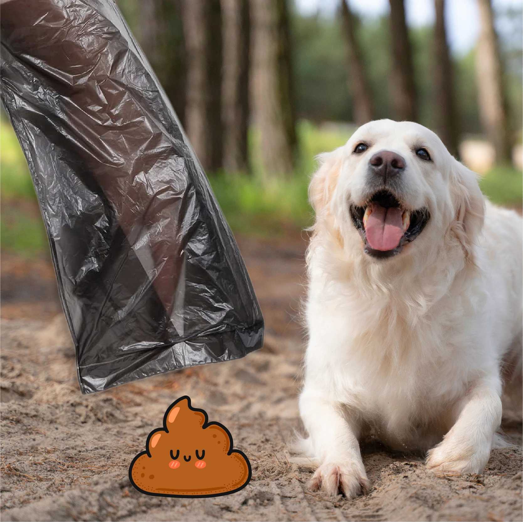 Poop Bags Dog Excrement Bags 150/300/600/900/1200 Bag Good Brand Bags Poop Multicolor Dogs Bag Pet Dog Supplies Pet SuppliesXJ250104