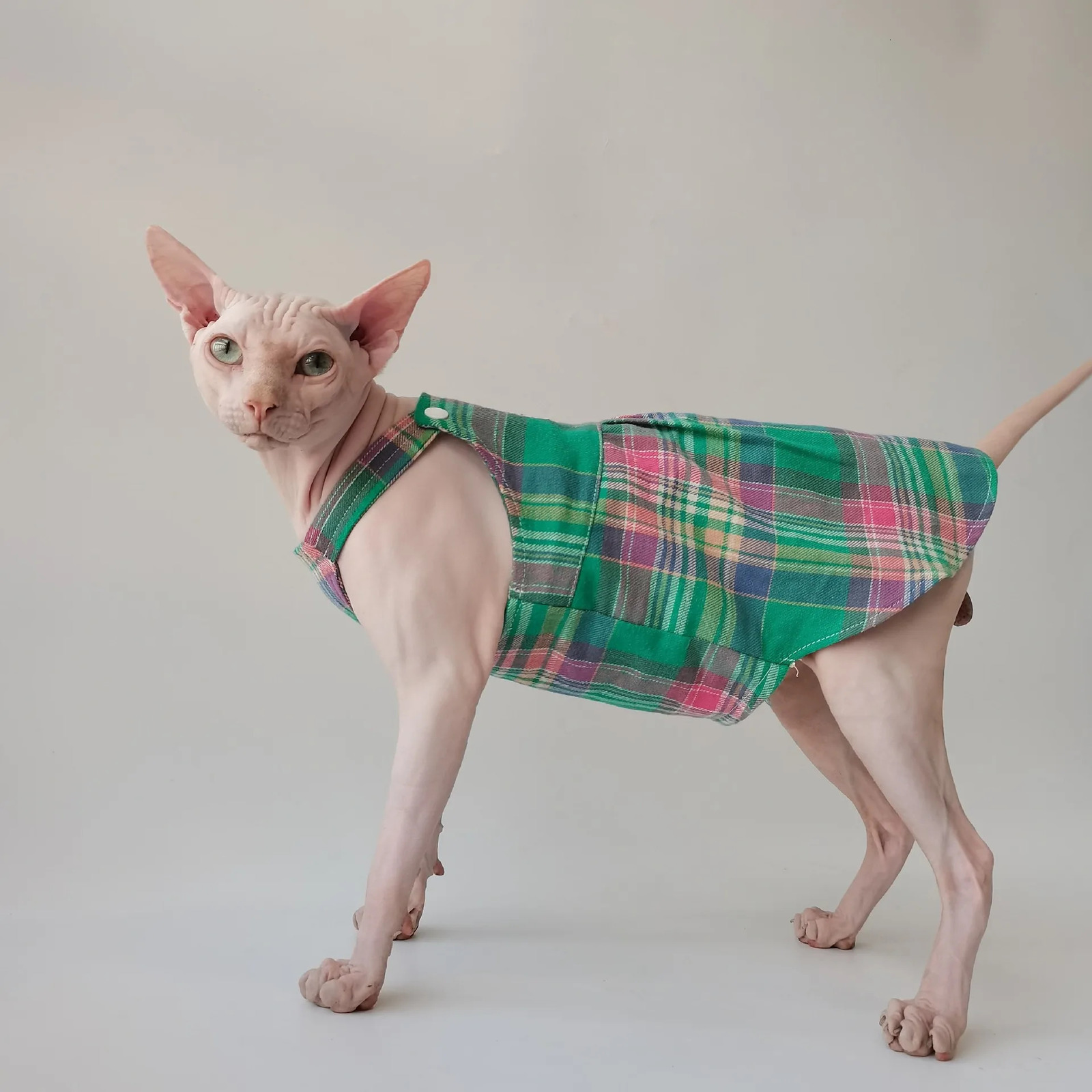 Spring and Summer Sphinx Hairless Cat German Pet Clothes Cotton Plaid Strap Skirt 250103