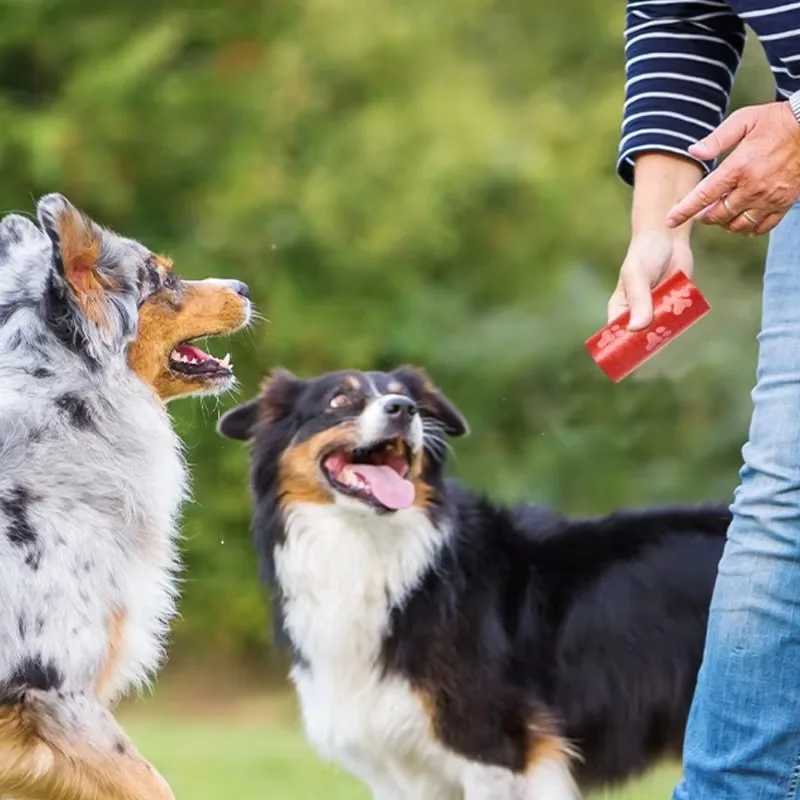2-40Rolls Dog Poop Bag Outdoor Cleaning Poop Bag Outdoor Clean Pets Supplies for Dog 15Bags/Roll Refill Garbage Bag Pet SuppliesXJ250104