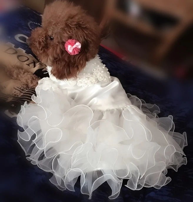Pet Bride Groom Costume Clothes Bling Cat Dog Wedding dress Dog cat Tuxedo for Cat chihuahua poodle Small Pet 250103
