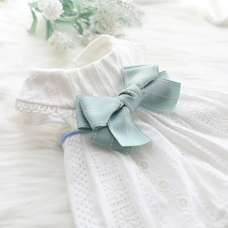 Spring and Summer Thin Lolita Princess Skirts for Pets Dog Clothes Cat Supplies Mint Butterfly 250103